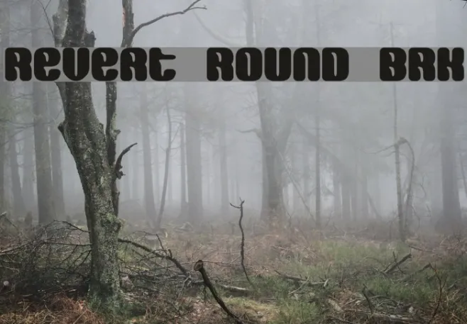 Revert Round BRK Example 3