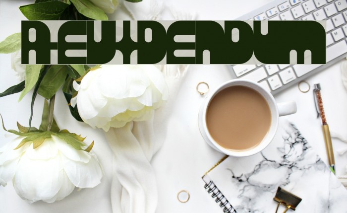 Revidendum Example 3