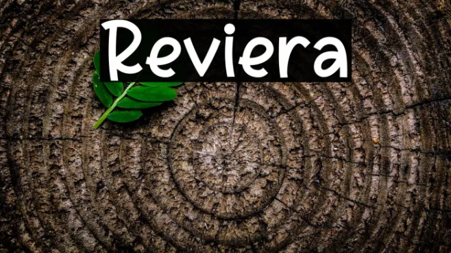 Reviera Example 3