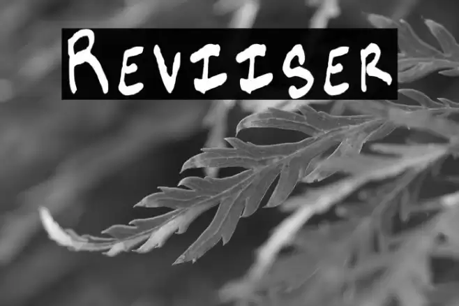 Reviiser Fuentes examples