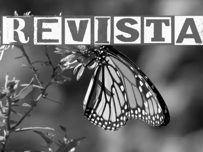 Revista Font examples