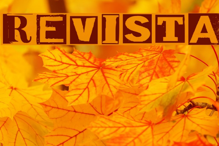 Revista Schriftart examples