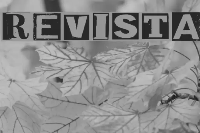 Revista Font examples