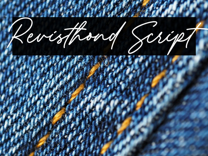 Revisthond Script Example 1