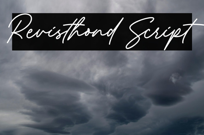 Revisthond Script Example 2