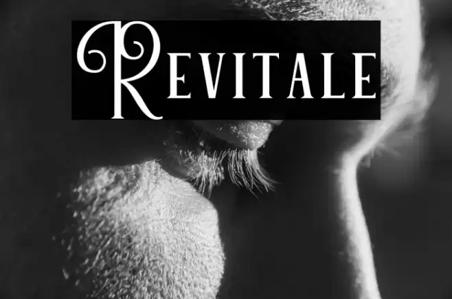 Revitale Font examples