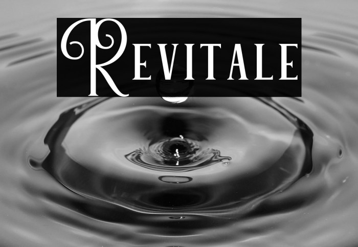 Revitale Example 3