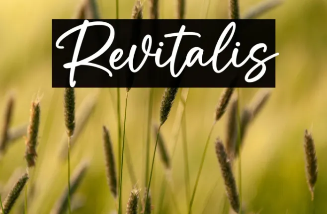 Revitalis Example 2