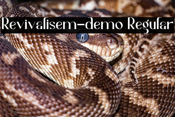 Revivalisem-demo Regular Example 2