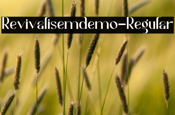Revivalisemdemo-Regular Example 1