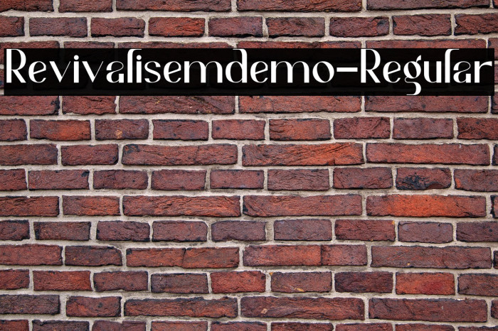 Revivalisemdemo-Regular Example 3