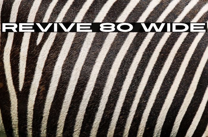 Revive 80 Wide Example 1