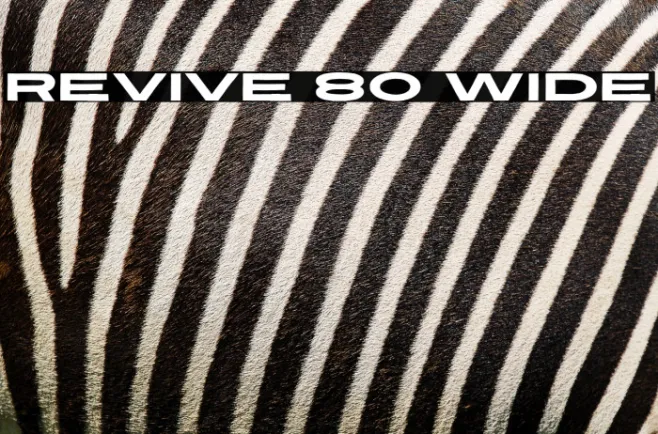 Revive 80 Wide Example 1