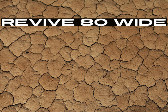 Revive 80 Wide Example 2