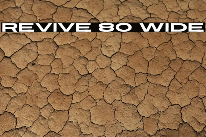 Revive 80 Wide Example 2