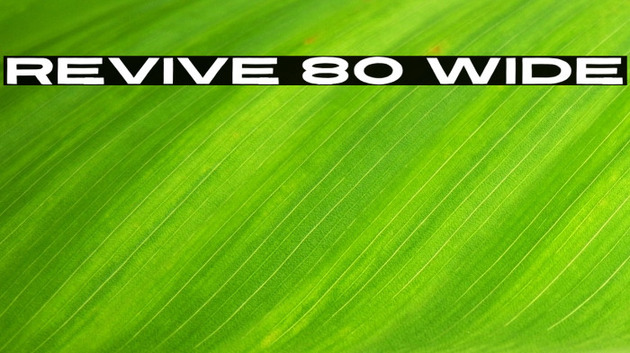 Revive 80 Wide Example 3