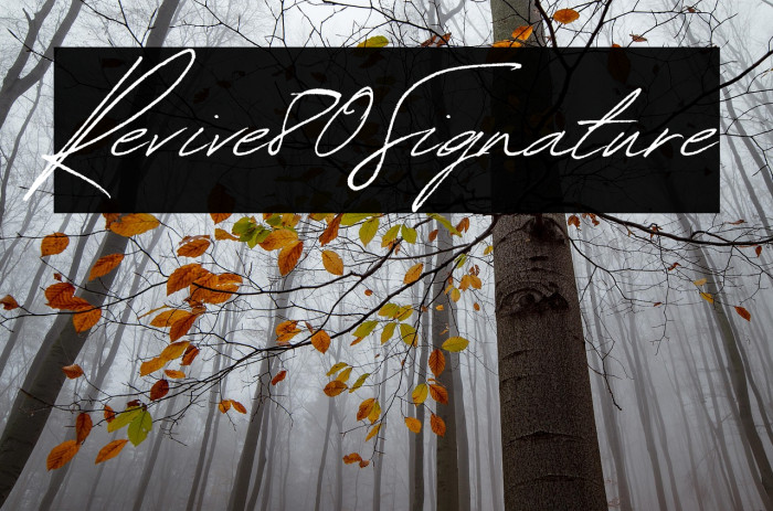 Revive80Signature Example 1