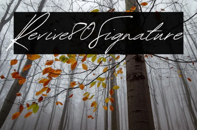 Revive80Signature Example 1