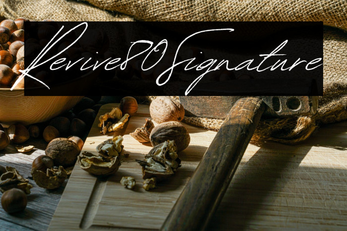 Revive80Signature Example 2