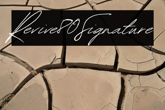 Revive80Signature Example 3