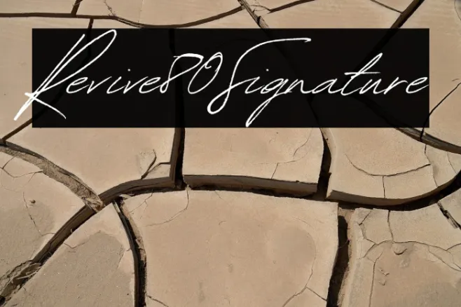 Revive80Signature Example 3