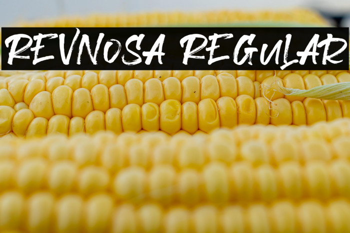Revnosa Regular Example 1