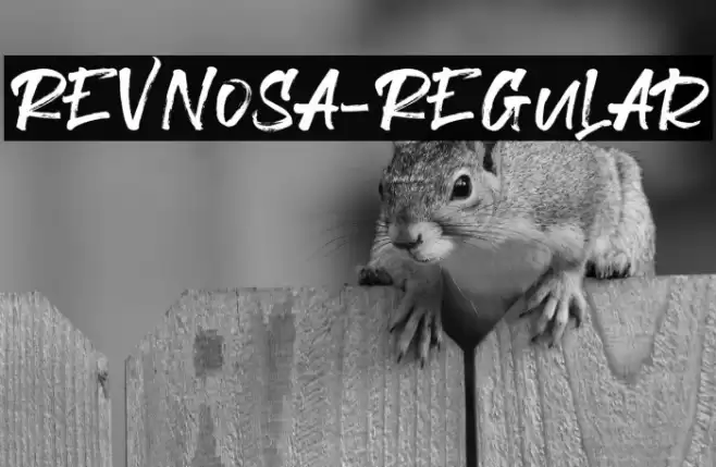 Revnosa-Regular Font examples