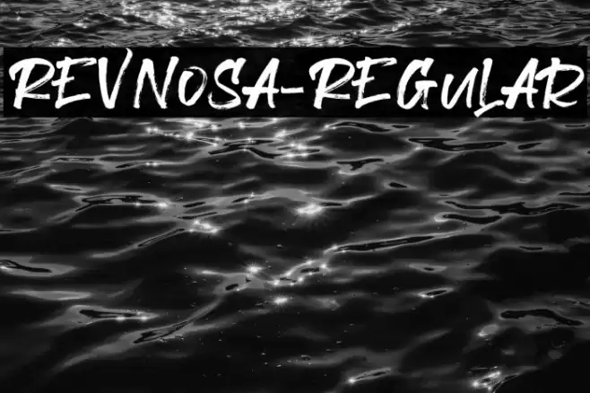 Revnosa-Regular Font examples