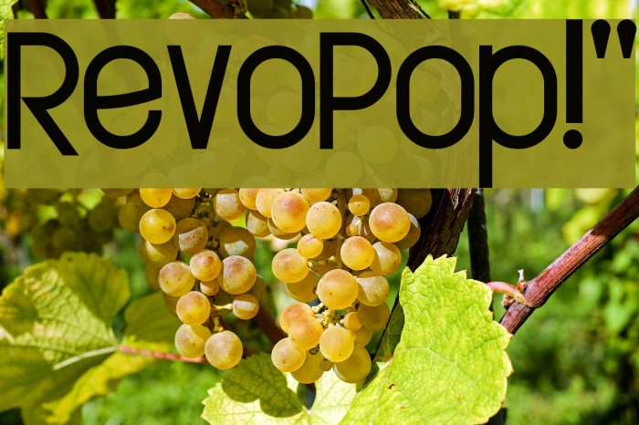 RevoPop!` Font examples