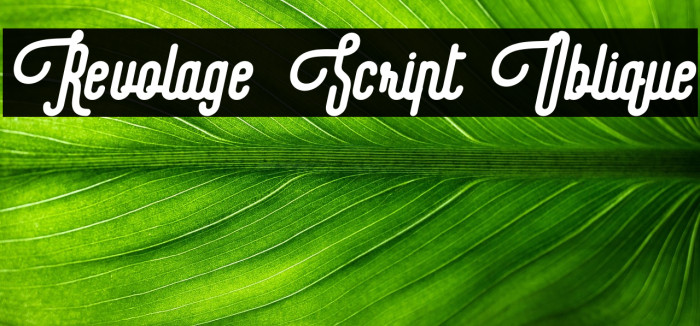 Revolage Script Oblique Example 2