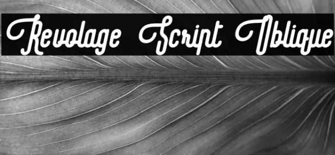Revolage Script Oblique Font examples