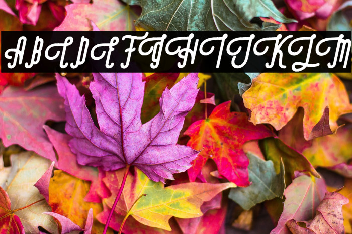 Revolage Script Rough Oblique Example 1