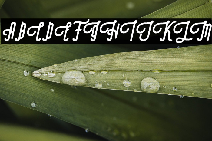 Revolage Script Rough Oblique Example 2