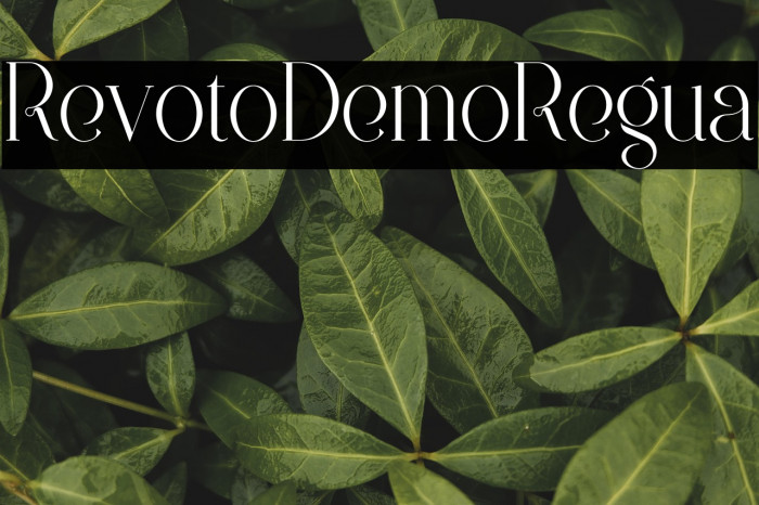 Revolto Demo Regular Example 1