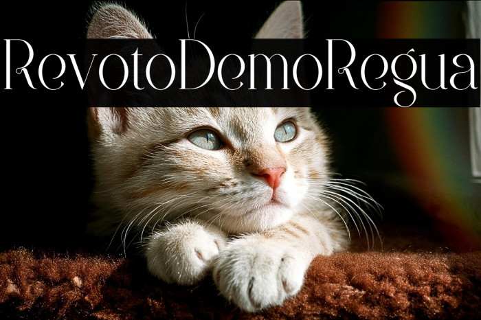 Revolto Demo Regular Example 2