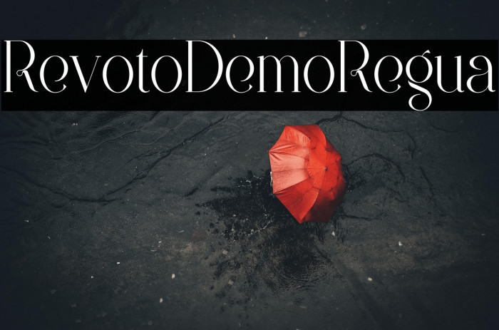 Revolto Demo Regular Example 3