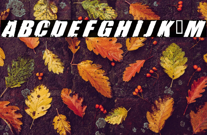 Revolution(RUS BY LYAJKA) Example 1