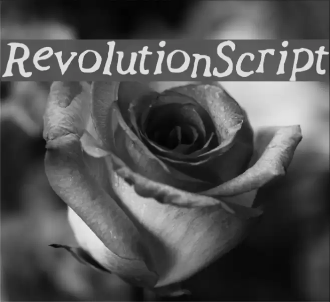 Revolution_Script Font examples