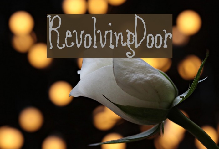 RevolvingDoor Font examples