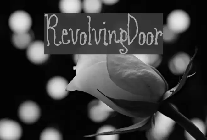 RevolvingDoor Caratteri examples