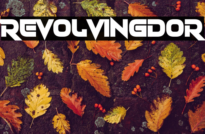 Revolvingdor Example 3