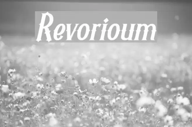Revorioum Font examples