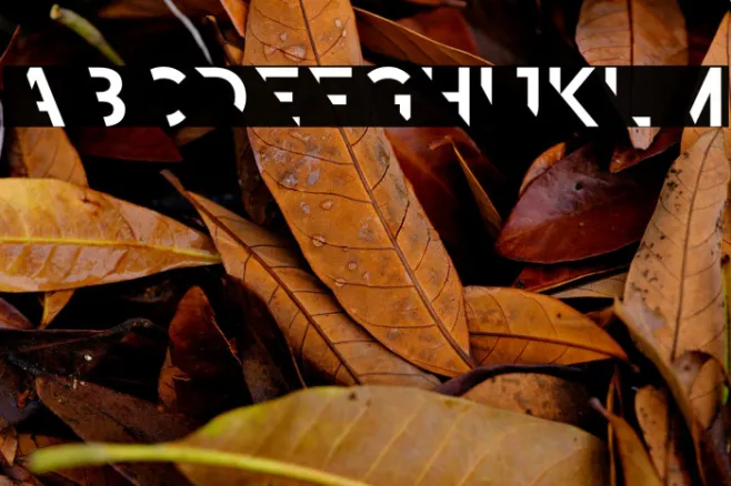 Revoxa Cut 1 Example 1