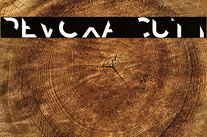 Revoxa Cut 1 Example 1