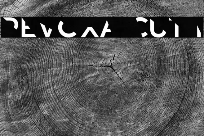 Revoxa Cut 1 Font examples