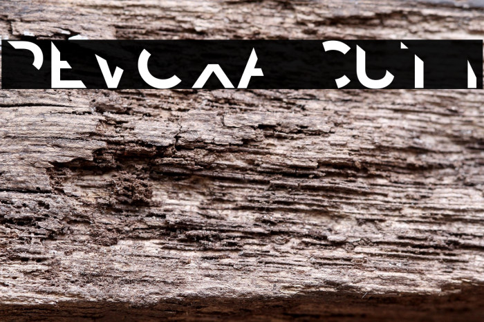 Revoxa Cut 1 Example 3