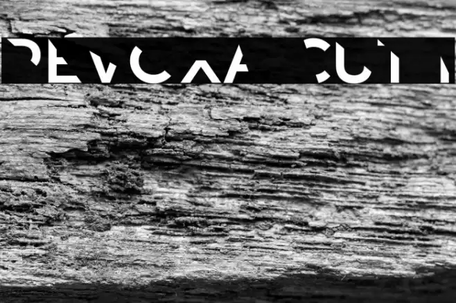 Revoxa Cut 1 Font examples