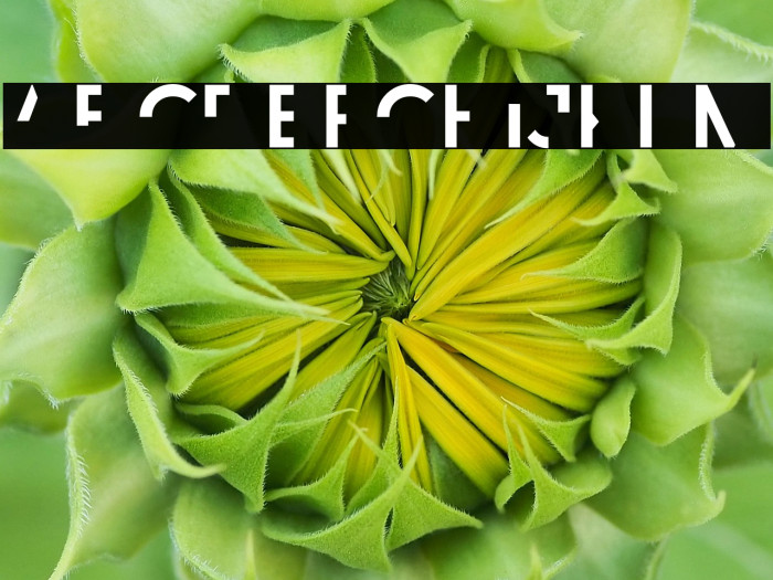 Revoxa Cut 2 Example 2