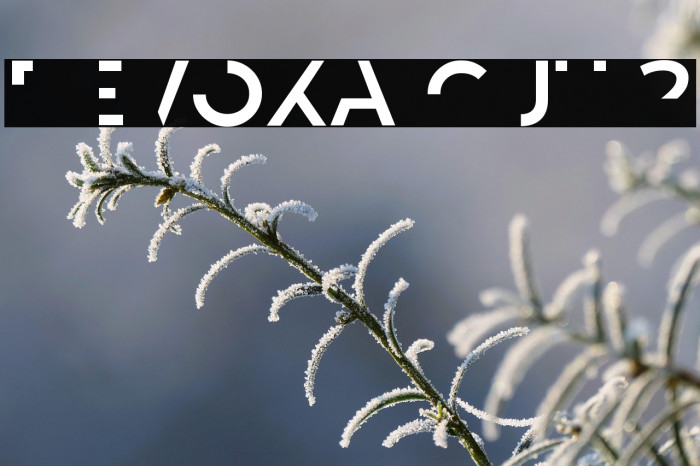 Revoxa Cut 2 Example 1