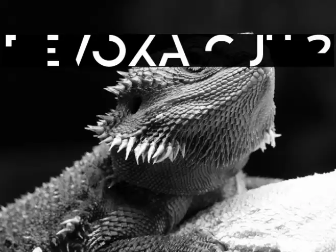 Revoxa Cut 2 Font examples